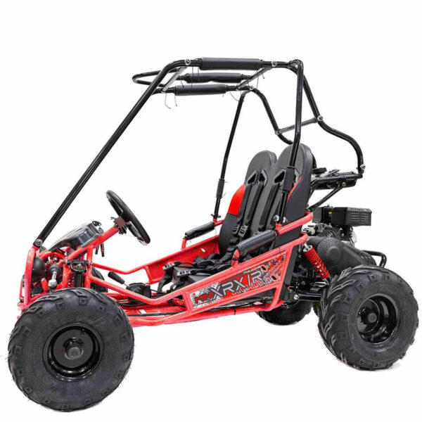 TrailMaster MINI XRXR+ Go-Kart With Reverse